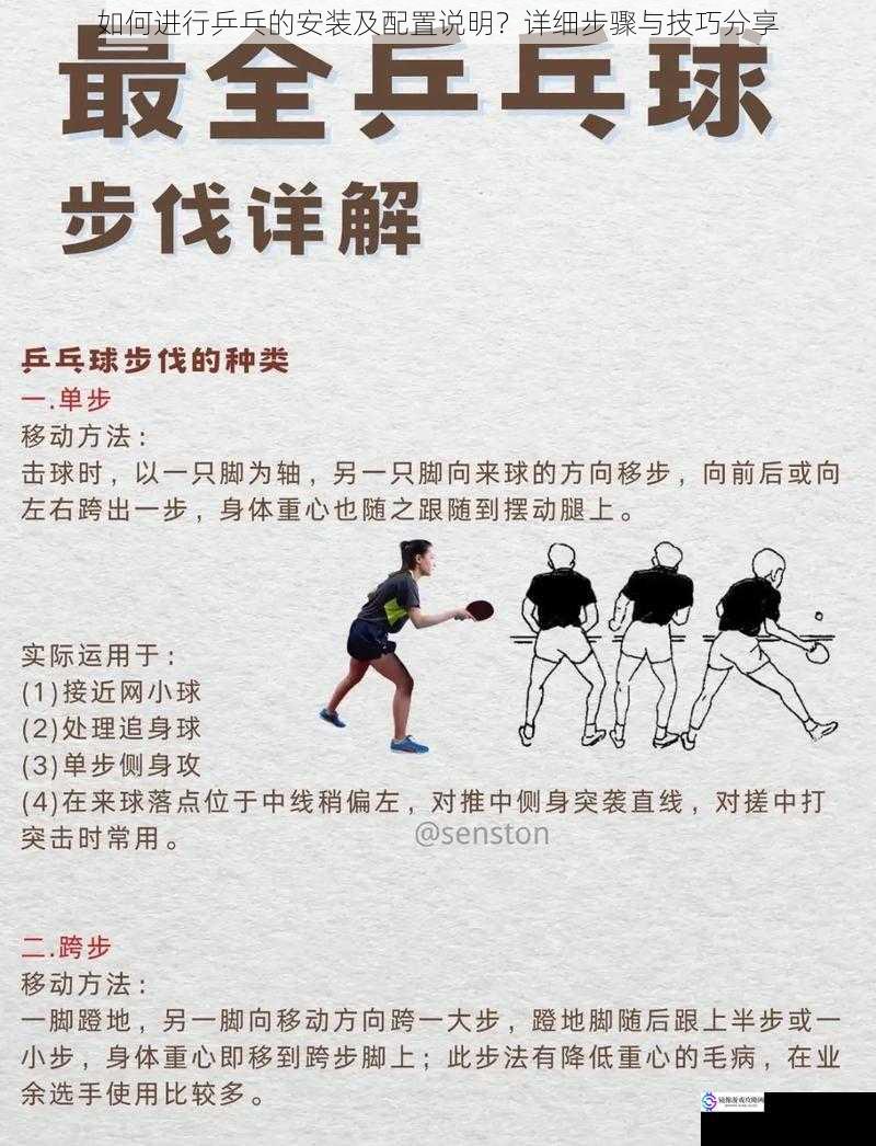 如何进行乒乓的安装及配置说明?详细步骤与技巧分享