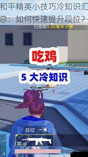 和平精英小技巧冷知识汇总:如何快速提升段位?