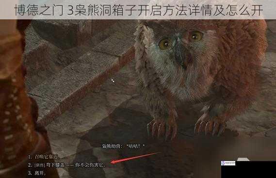 博德之门 3枭熊洞箱子开启方法详情及怎么开