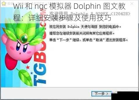 Wii 和 ngc 模拟器 Dolphin 图文教程:详细安装步骤及使用技巧