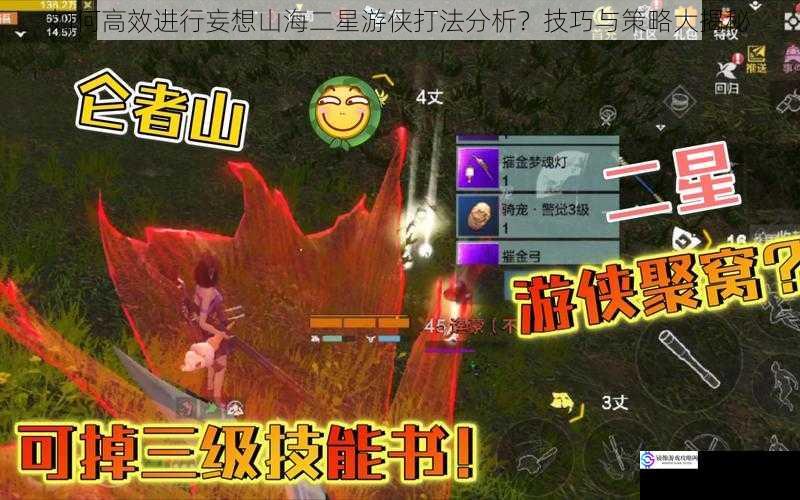 如何高效进行妄想山海二星游侠打法分析?技巧与策略大揭秘