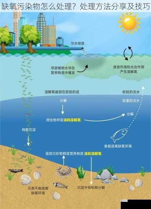 缺氧污染物怎么处理?处理方法分享及技巧