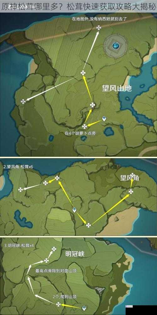 原神松茸哪里多?松茸快速获取攻略大揭秘