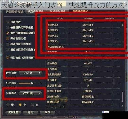天谕玲珑新手入门攻略:快速提升战力的方法?