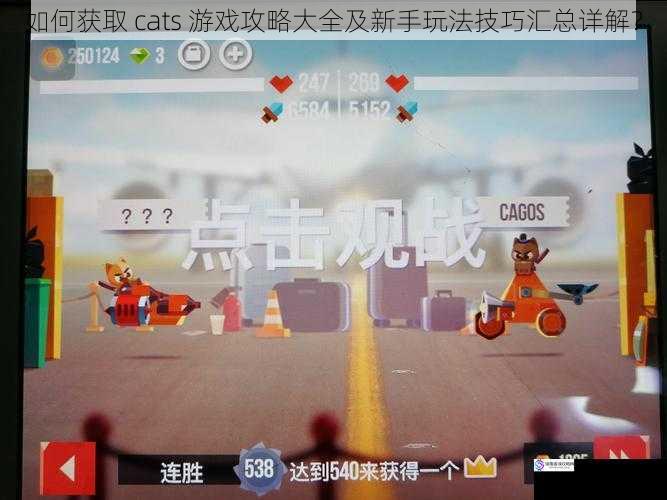 如何获取 cats 游戏攻略大全及新手玩法技巧汇总详解?