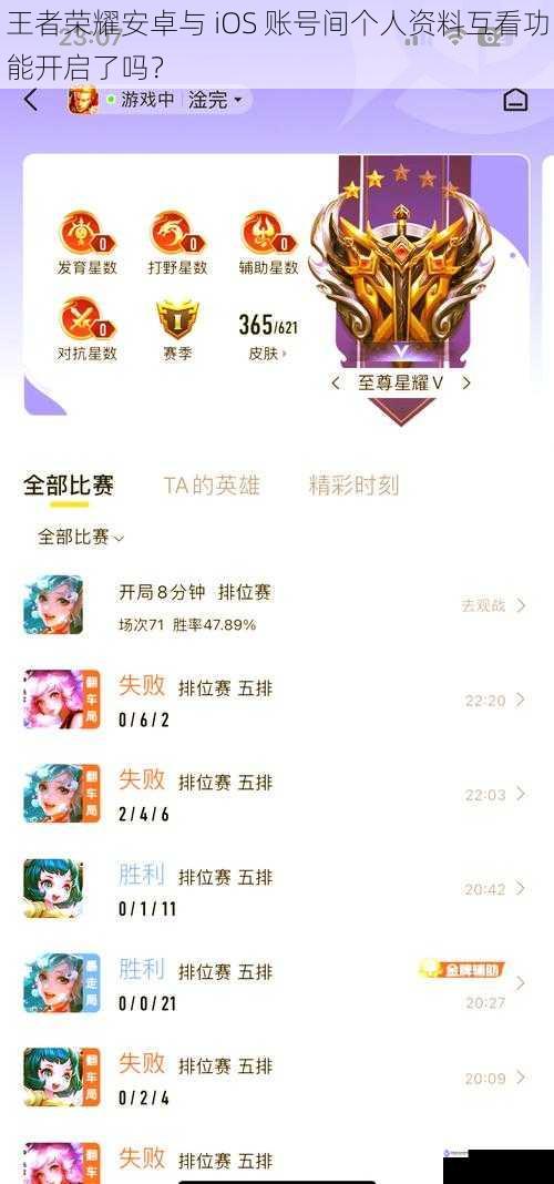 王者荣耀安卓与 iOS 账号间个人资料互看功能开启了吗?