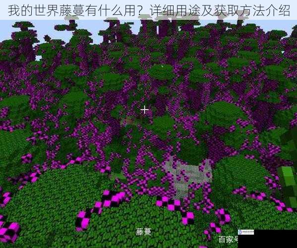 我的世界藤蔓有什么用?详细用途及获取方法介绍