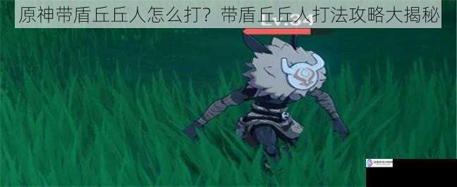 原神带盾丘丘人怎么打?带盾丘丘人打法攻略大揭秘