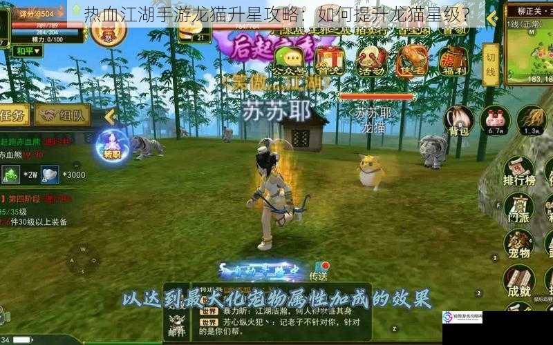 热血江湖手游龙猫升星攻略:如何提升龙猫星级?