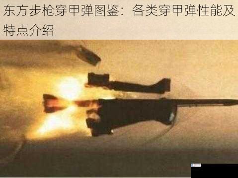 东方步枪穿甲弹图鉴:各类穿甲弹性能及特点介绍