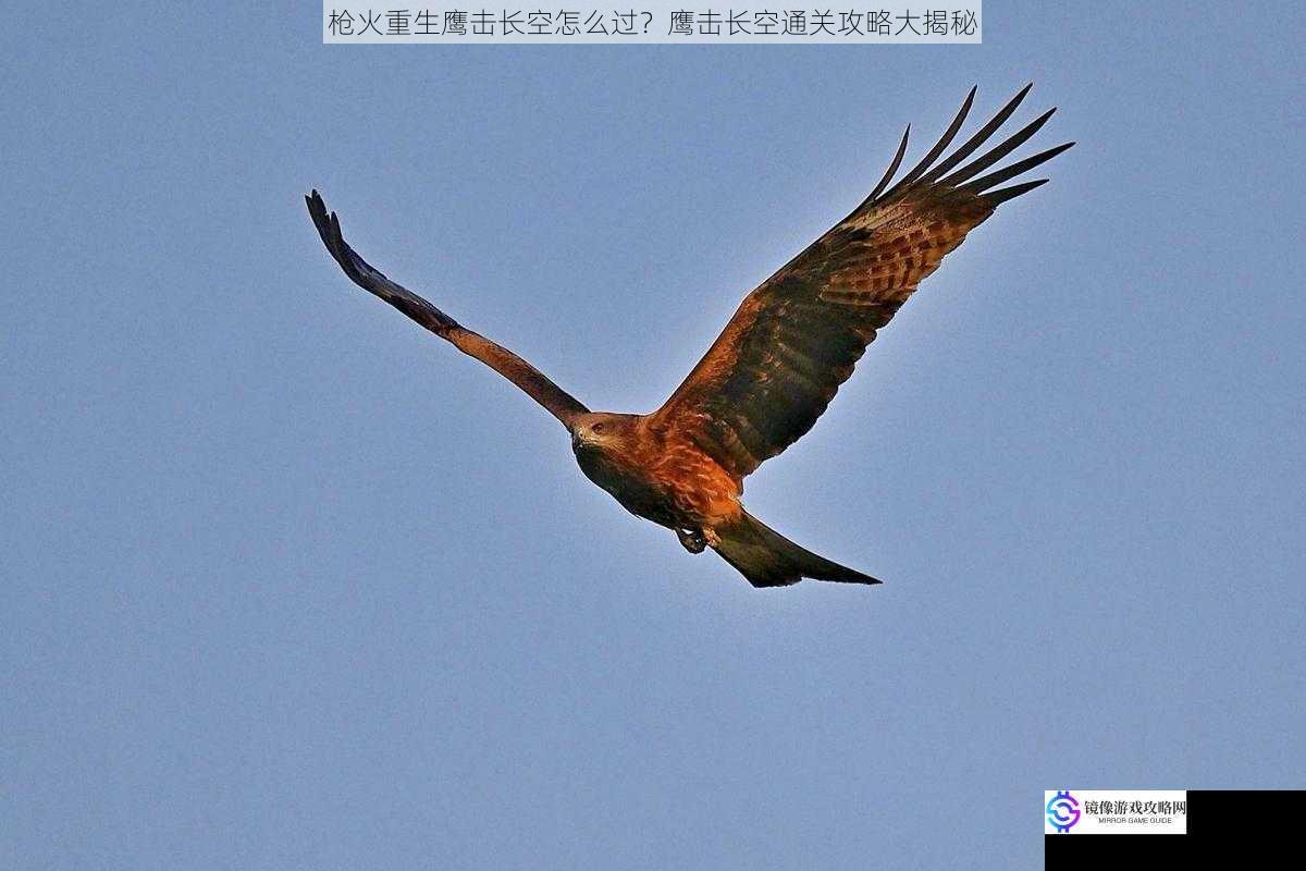 枪火重生鹰击长空怎么过?鹰击长空通关攻略大揭秘