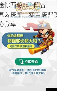 迷你西游非 r 阵容怎么搭配:实用搭配攻略分享