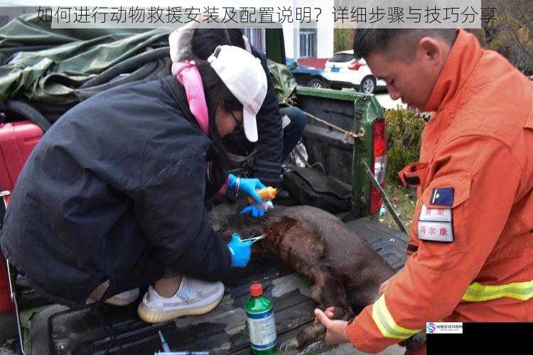 如何进行动物救援安装及配置说明?详细步骤与技巧分享