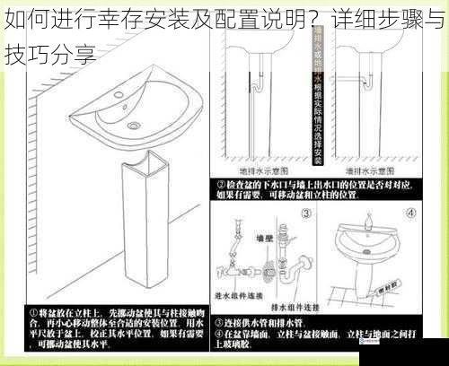 如何进行幸存安装及配置说明?详细步骤与技巧分享
