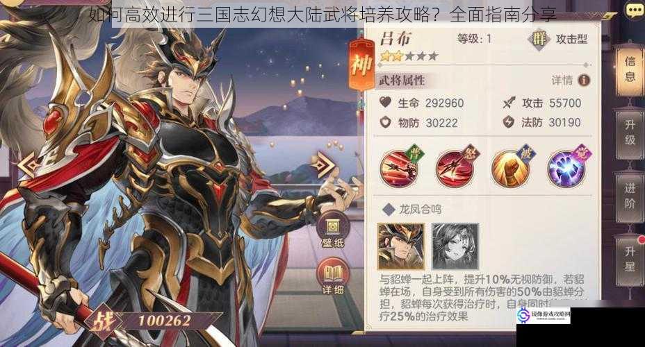 如何高效进行三国志幻想大陆武将培养攻略?全面指南分享