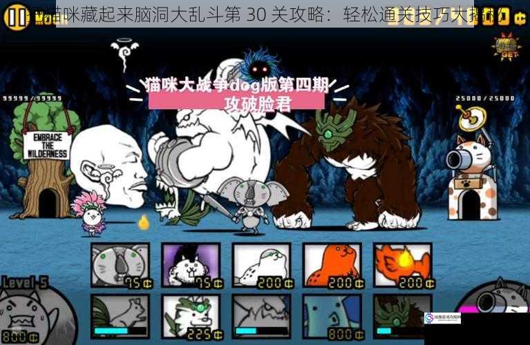 把猫咪藏起来脑洞大乱斗第 30 关攻略:轻松通关技巧大揭秘