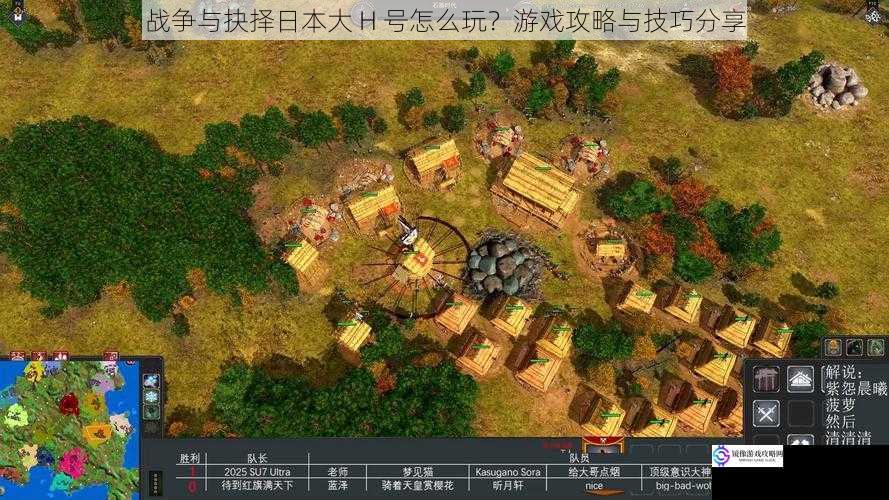 战争与抉择日本大 H 号怎么玩?游戏攻略与技巧分享