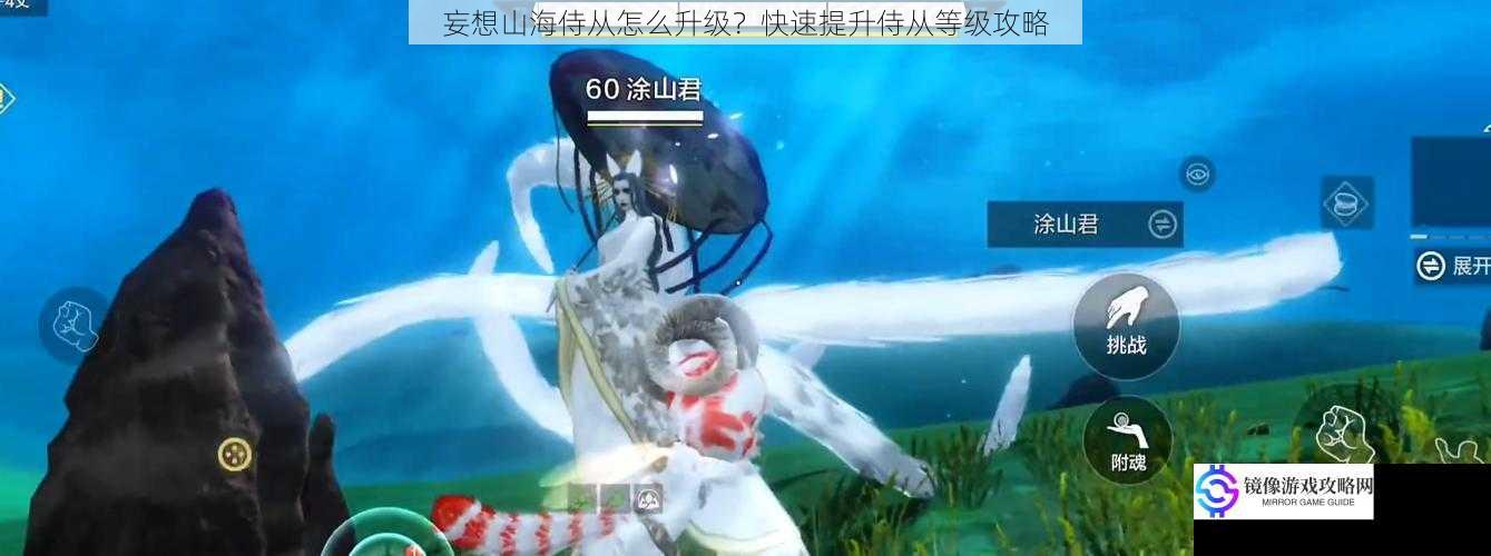 妄想山海侍从怎么升级?快速提升侍从等级攻略