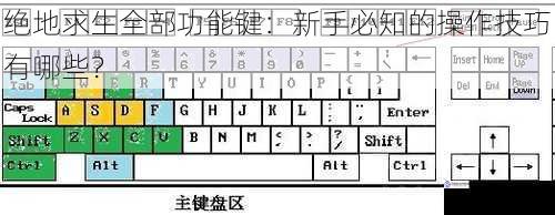 绝地求生全部功能键:新手必知的操作技巧有哪些?
