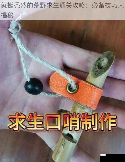就挺秃然的荒野求生通关攻略:必备技巧大揭秘