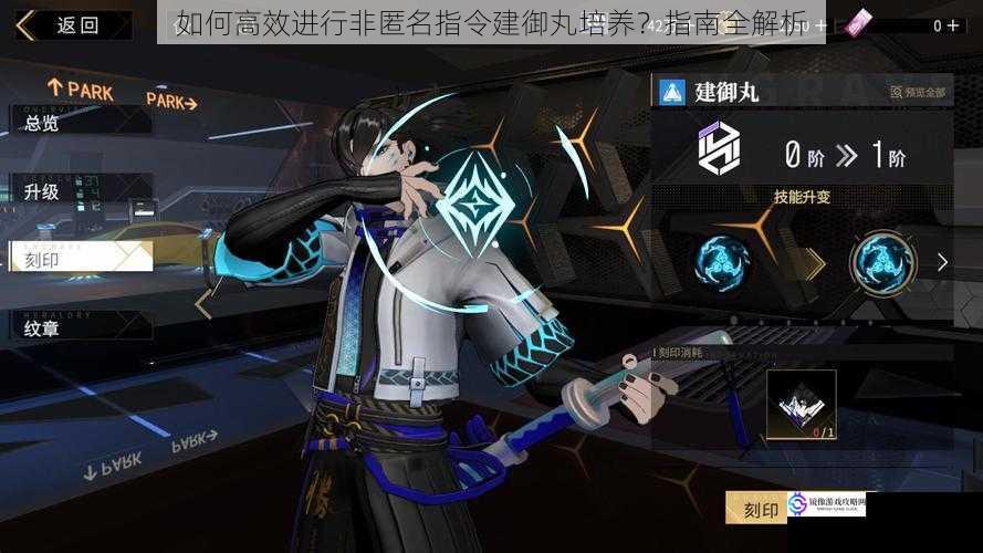 如何高效进行非匿名指令建御丸培养?指南全解析
