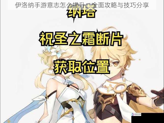 伊洛纳手游意志怎么提升:全面攻略与技巧分享