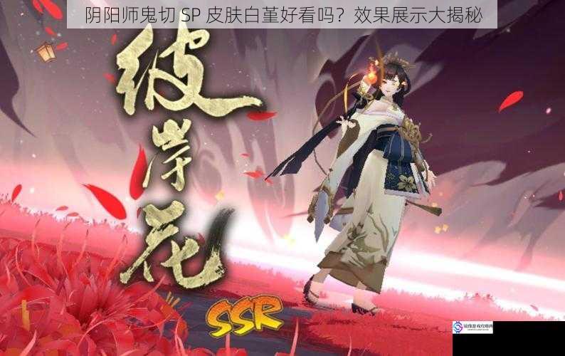 阴阳师鬼切 SP 皮肤白堇好看吗?效果展示大揭秘