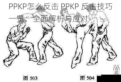 PPKP怎么反击 PPKP 反击技巧一览:全面解析与应对
