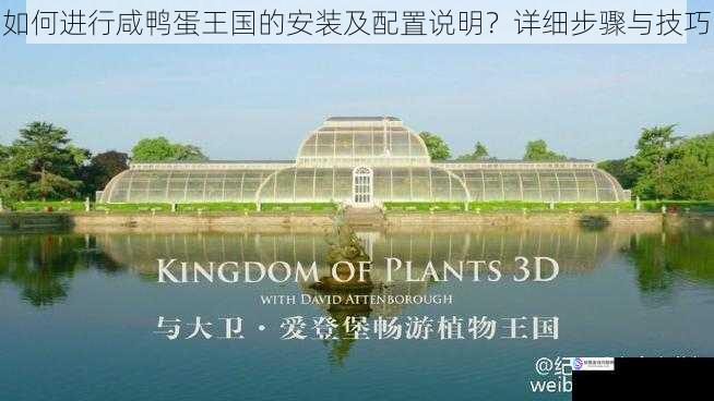如何进行咸鸭蛋王国的安装及配置说明?详细步骤与技巧