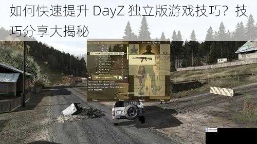如何快速提升 DayZ 独立版游戏技巧?技巧分享大揭秘