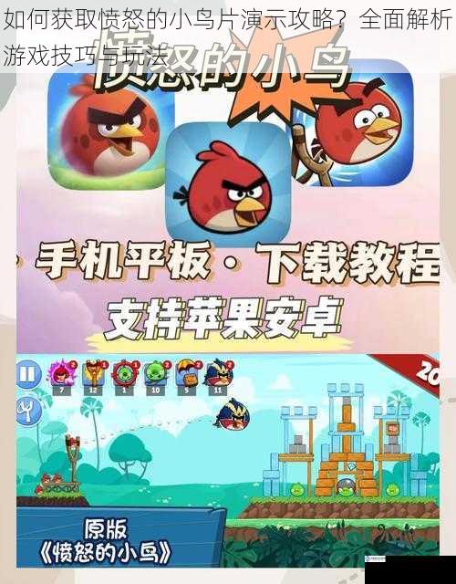 如何获取愤怒的小鸟片演示攻略?全面解析游戏技巧与玩法