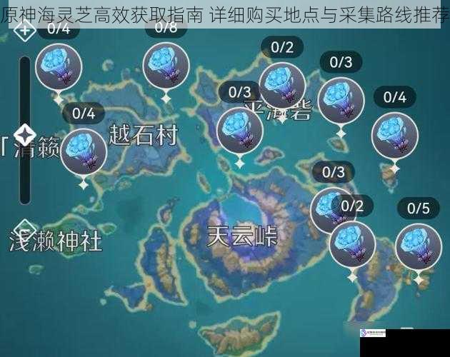 原神海灵芝高效获取指南 详细购买地点与采集路线推荐