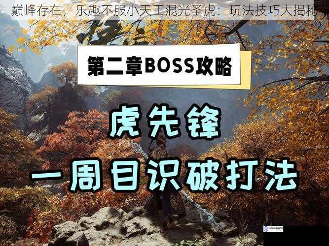 巅峰存在,乐趣不服小天王混光圣虎:玩法技巧大揭秘