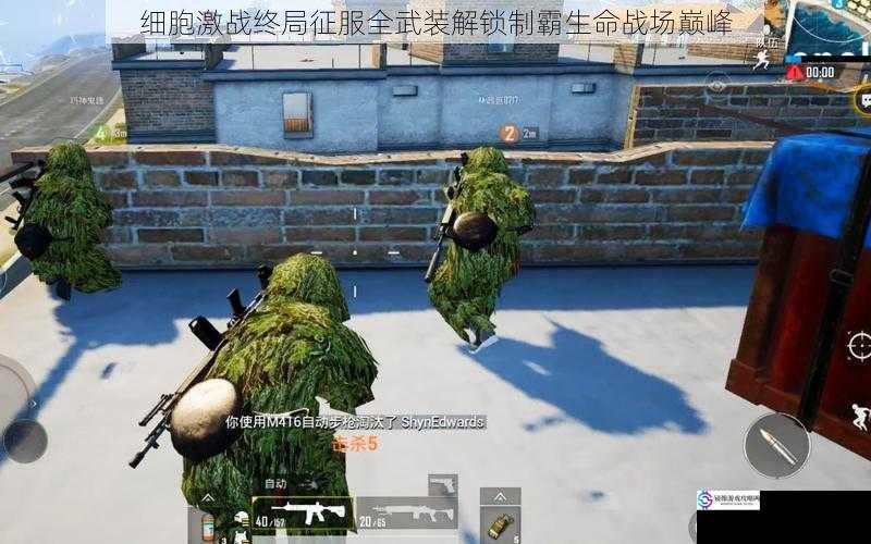 细胞激战终局征服全武装解锁制霸生命战场巅峰
