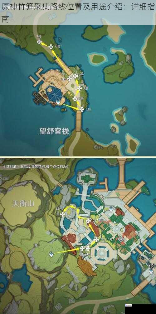 原神竹笋采集路线位置及用途介绍:详细指南
