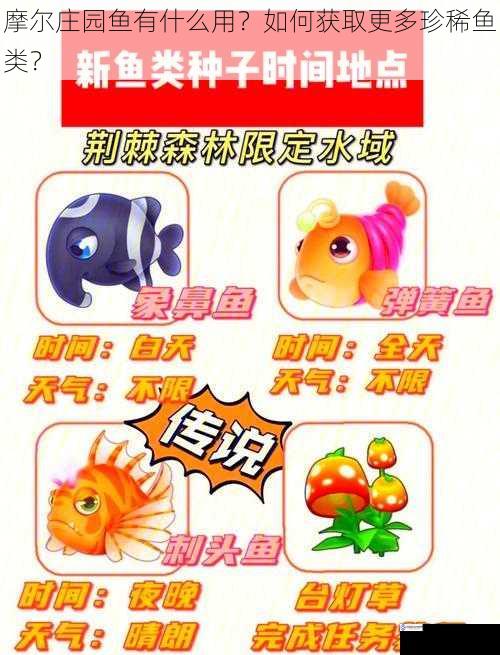 摩尔庄园鱼有什么用?如何获取更多珍稀鱼类?