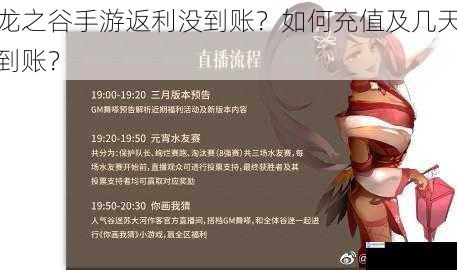 龙之谷手游返利没到账?如何充值及几天到账?