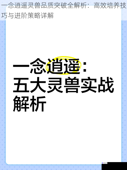 一念逍遥灵兽品质突破全解析:高效培养技巧与进阶策略详解