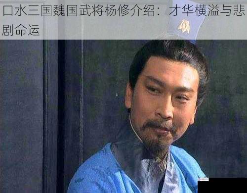 口水三国魏国武将杨修介绍:才华横溢与悲剧命运