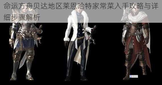 命运方舟贝达地区莱恩哈特家常菜入手攻略与详细步骤解析
