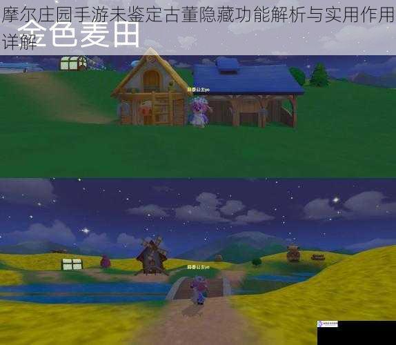 摩尔庄园手游未鉴定古董隐藏功能解析与实用作用详解