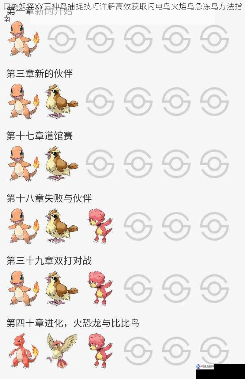 口袋妖怪XY三神鸟捕捉技巧详解高效获取闪电鸟火焰鸟急冻鸟方法指南