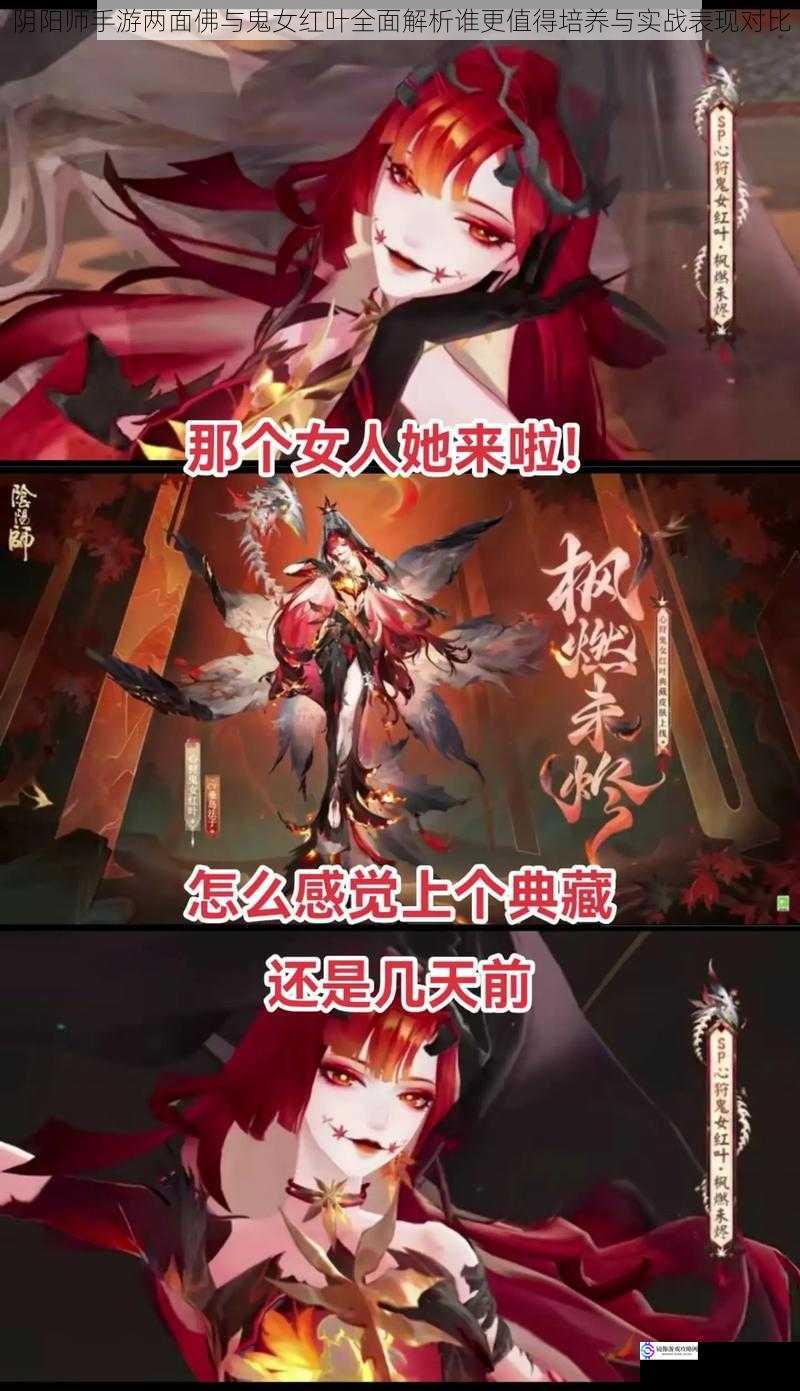 阴阳师手游两面佛与鬼女红叶全面解析谁更值得培养与实战表现对比