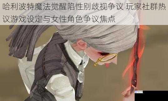 哈利波特魔法觉醒陷性别歧视争议 玩家社群热议游戏设定与女性角色争议焦点