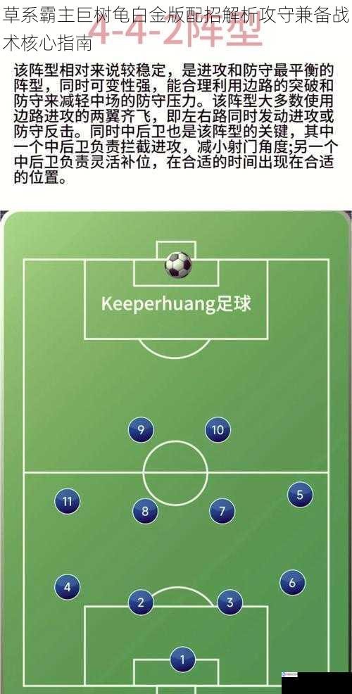 草系霸主巨树龟白金版配招解析攻守兼备战术核心指南