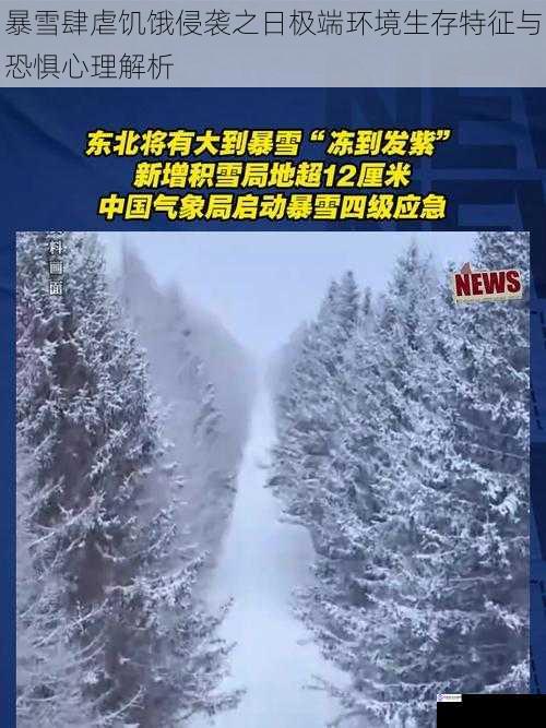 暴雪肆虐饥饿侵袭之日极端环境生存特征与恐惧心理解析