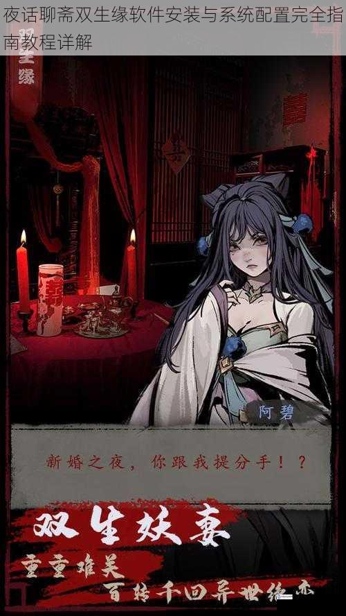 夜话聊斋双生缘软件安装与系统配置完全指南教程详解