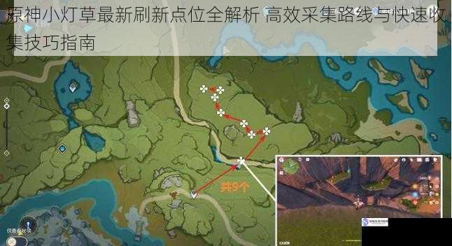 原神小灯草最新刷新点位全解析 高效采集路线与快速收集技巧指南