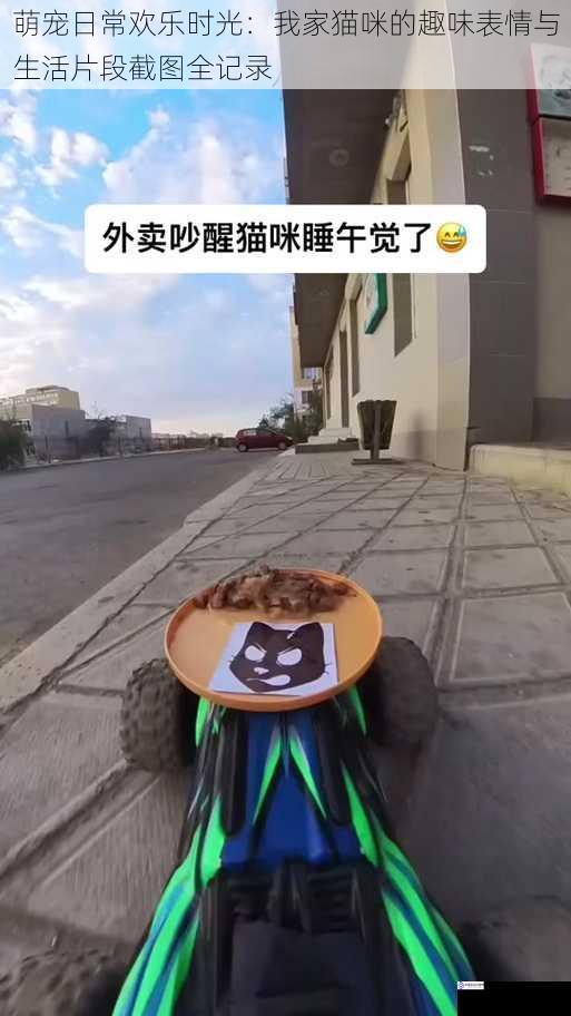 萌宠日常欢乐时光:我家猫咪的趣味表情与生活片段截图全记录