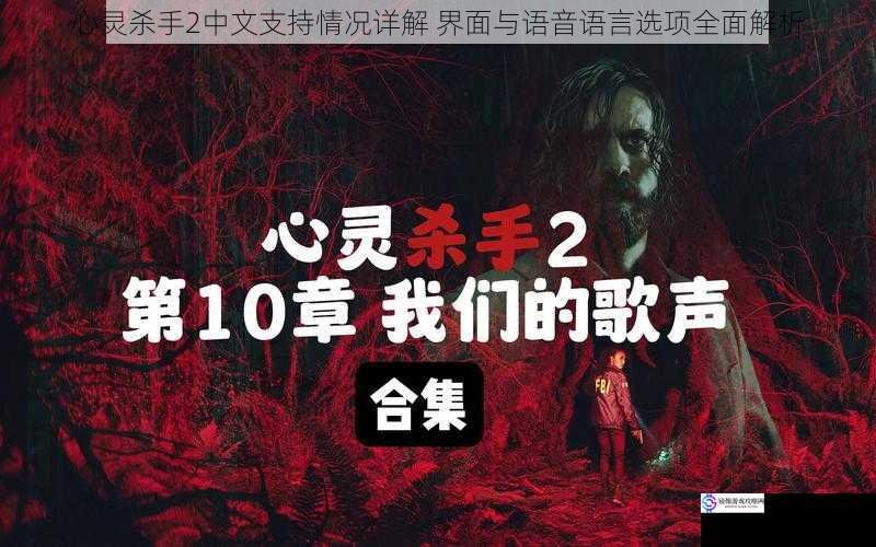 心灵杀手2中文支持情况详解 界面与语音语言选项全面解析